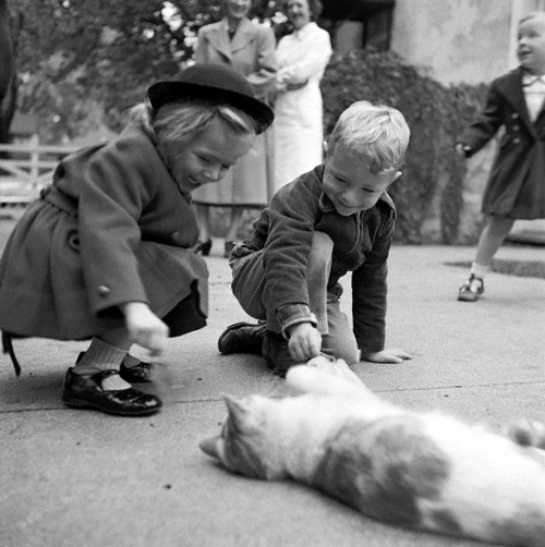 Children Playing with a Cat